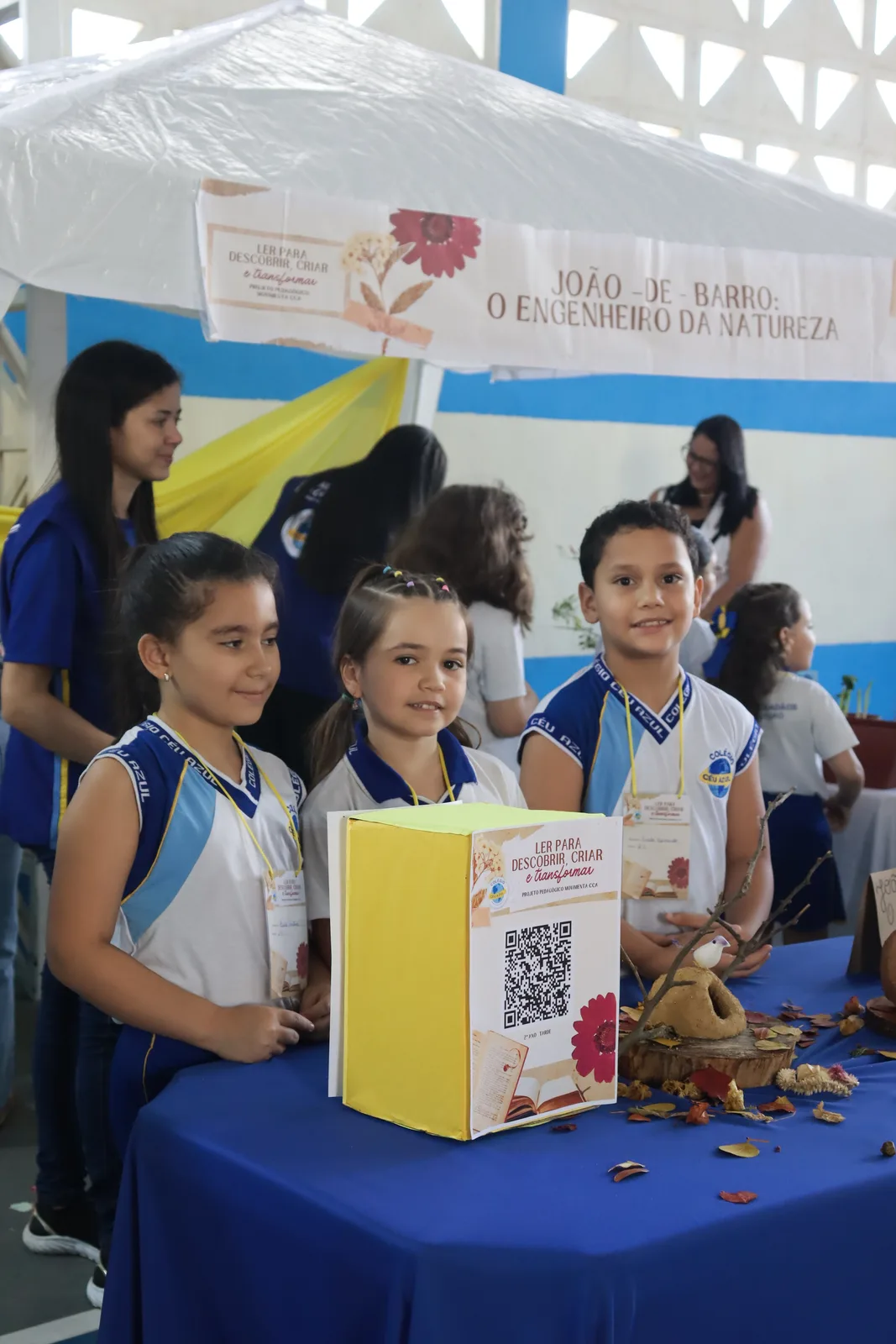 Ensino Fundamental — Anos Iniciais